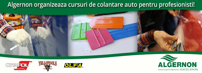 Algernon organizeaza cursuri de colantare auto pentru profesionisti!